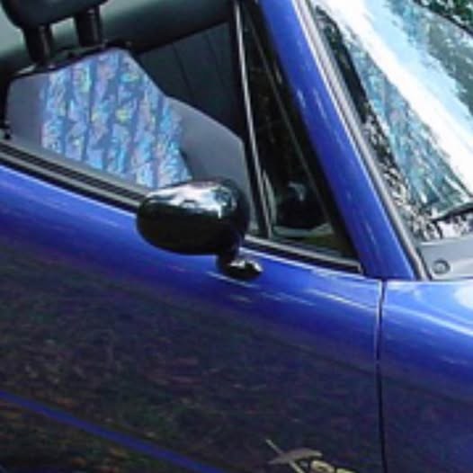 Suzuki x-90 Side mirror (passenger side)