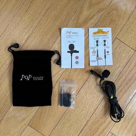 mini mic