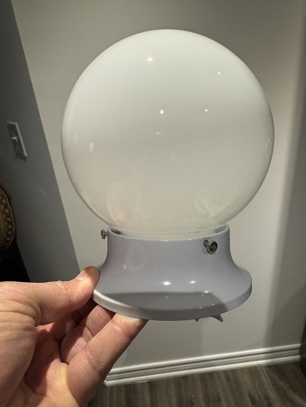 6 Globe Ceiling Light Fixture - White/White